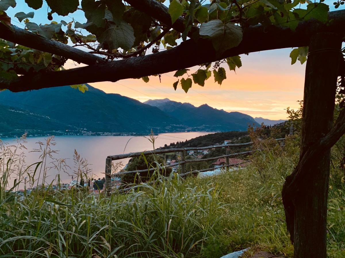 Agriturismo Treterre Pianello Del Lario Buitenkant foto